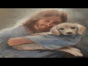 Oración de sanación para perros: Cuida a tu amigo fiel