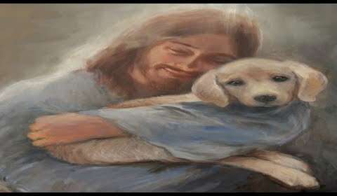 Oración de sanación para perros: Cuida a tu amigo fiel